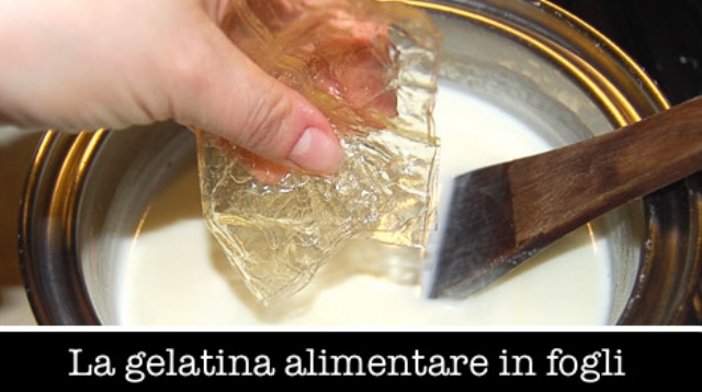 Gelatina Alimentare 