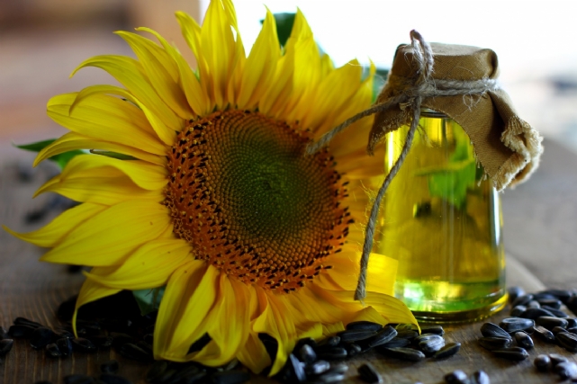 Olio di Girasole